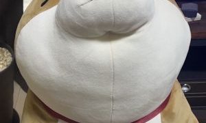 料理の疑問🍳