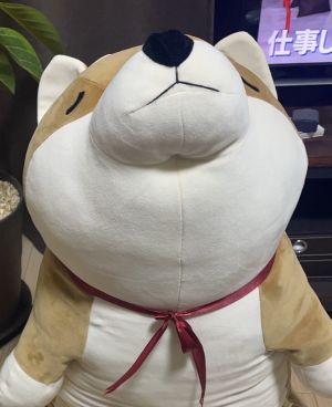 料理の疑問🍳
