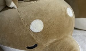 ブログの疑問💻